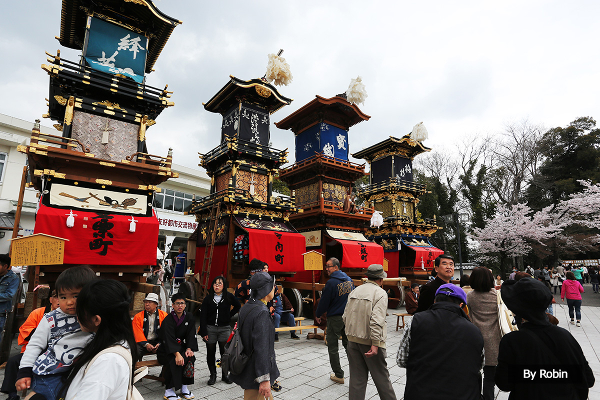 日本东西—樱花飞过犬山祭