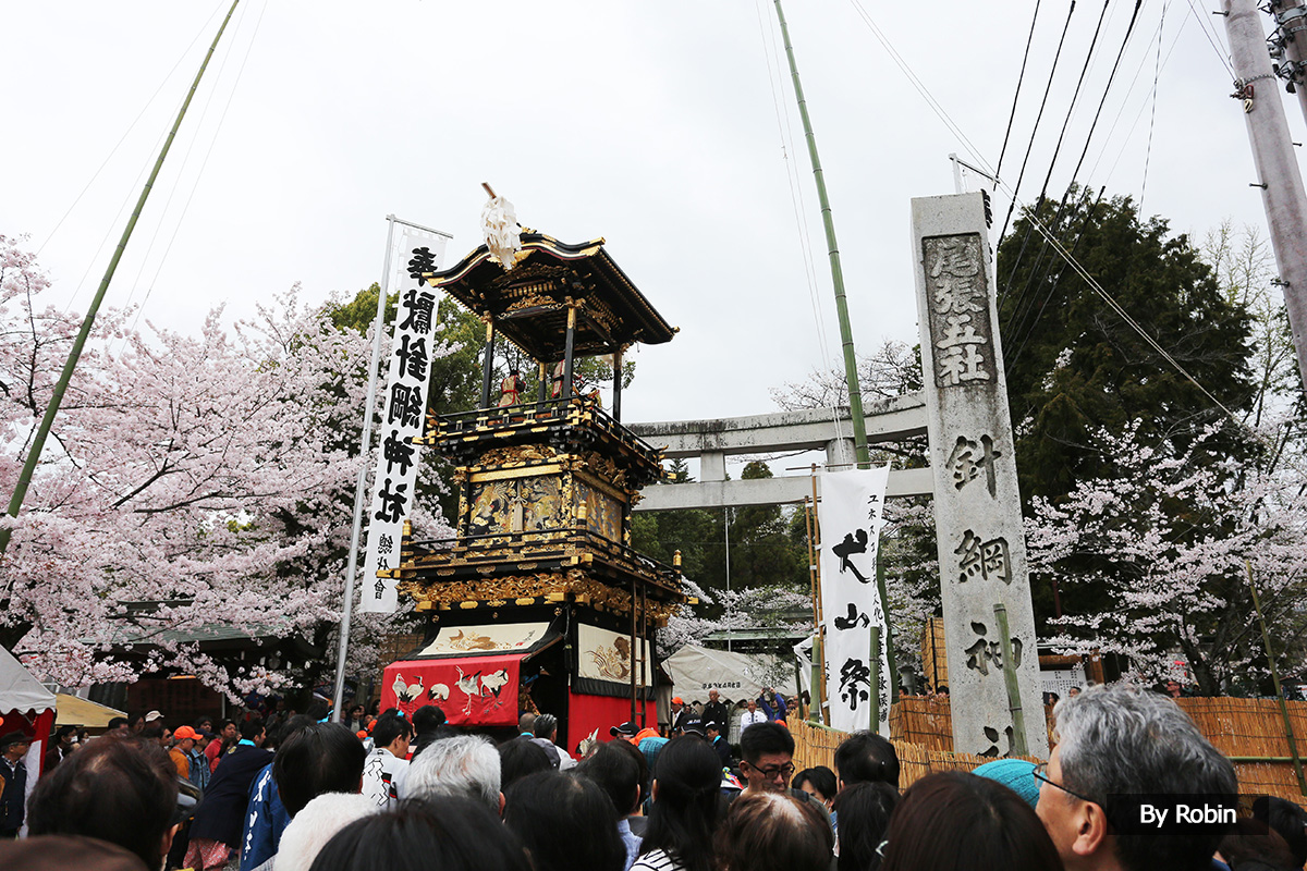 日本东西—樱花飞过犬山祭